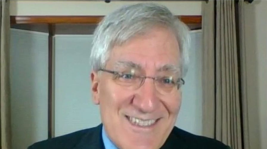 Prof: Republicans 'have potential' after Dem landslide predictions miss