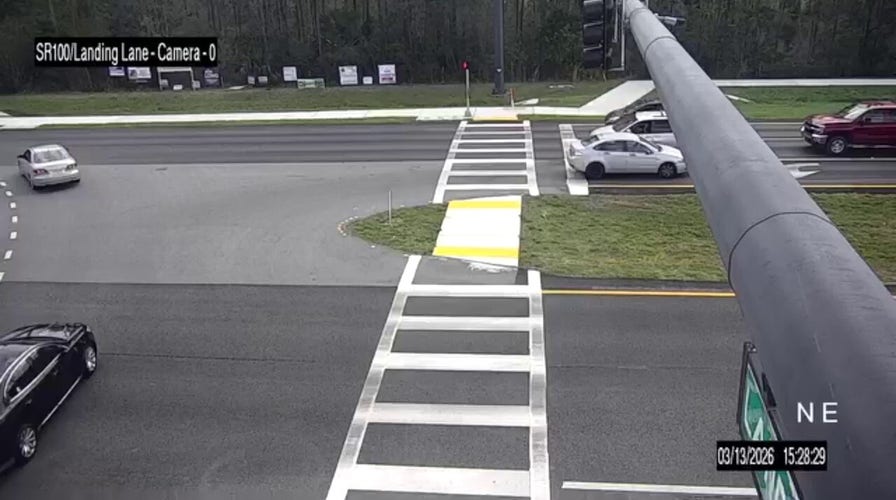 Florida repetition  offender seen driving successful  reverse connected  engaged  road