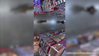 Deer caught dashing through Southern California Sam's Club