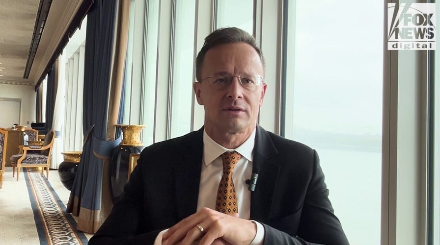 Hungarian official hails 'golden age' in US ties under Trump