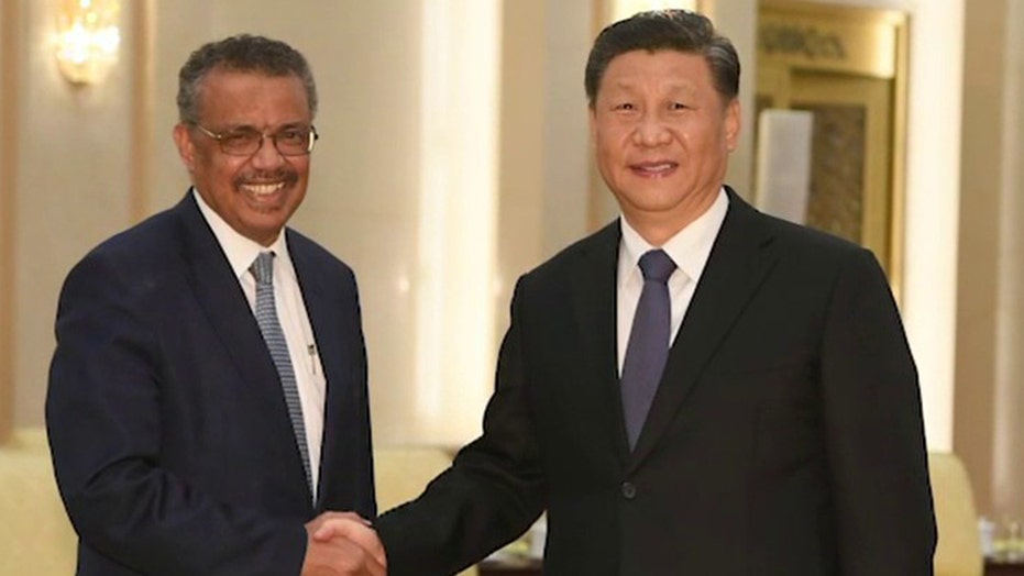 Controversial World Health Organization chief Tedros unopposed for second term