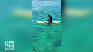 Surf’s up! Man takes pet snake for a ride on his surfboard - Fox News
