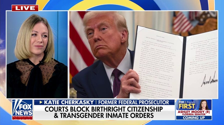 Democrats praise courts for blocking Trump's agenda: 'We will fight it out'