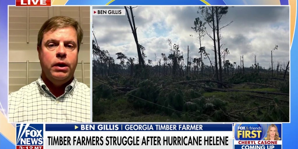 Georgia timber farmers struggling to get back on their feet months after Hurricane Helene