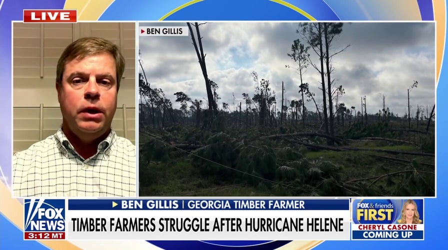 Georgia timber farmers struggling to get back on their feet months after Hurricane Helene