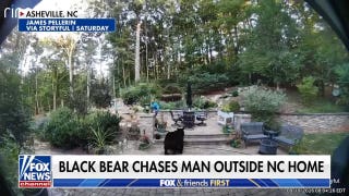 North Carolina man recounts terrifying backyard black bear encounter