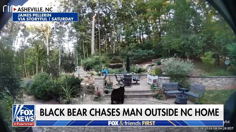 North Carolina man recounts terrifying backyard black bear encounter
