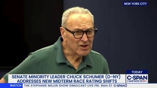 Schumer dodges on campaigning with El-Sayed, says the progressive has 'brought in new energy' to party