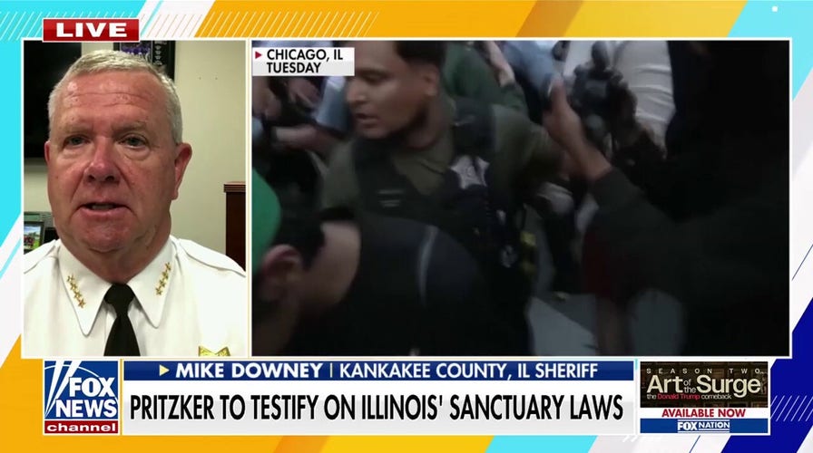 Illinois sheriff slams state's far-left sanctuary policies: 'What is the holdup?'