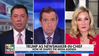 Trump is ‘playing politics’ on ‘his side of the sandbox,’ Democratic strategist argues