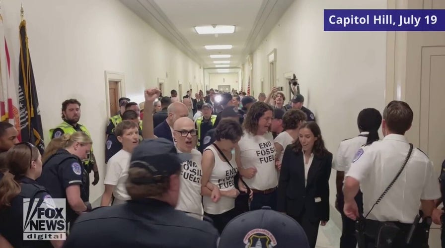 Climate protesters arrested on Capitol Hill, handcuffed outside IRS whistleblower hearing