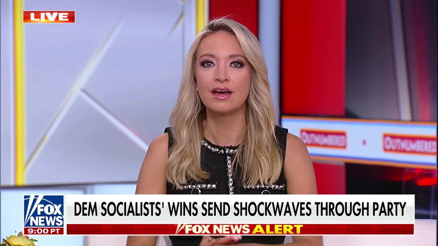 Kayleigh McEnany: This is an ‘all-out war’ for the soul of the Democratic Party