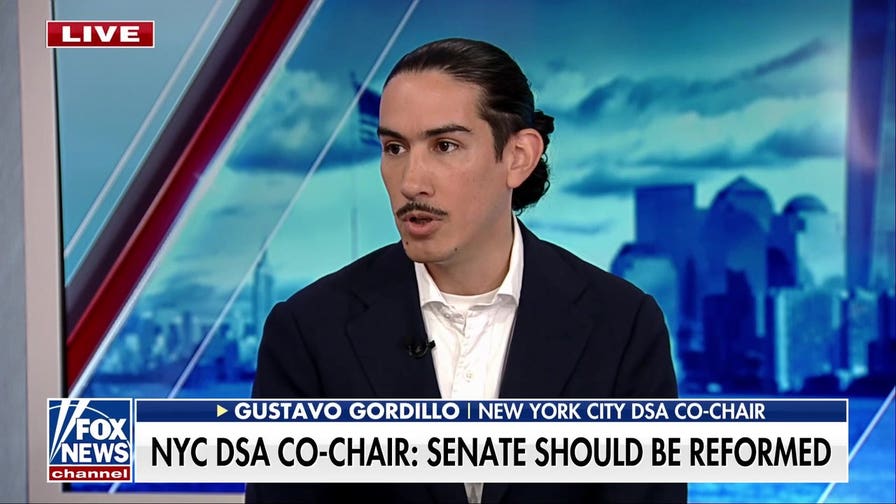 New York City DSA co-chair: Americans are unhappy with the political system