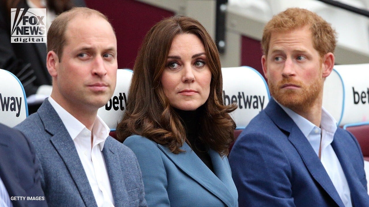 Kate Middleton tried to mediate Prince William, Prince Harry split: author