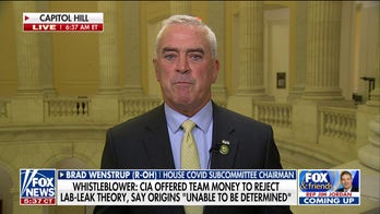 CIA whistleblower claims agency offered official money to change views on COVID origins