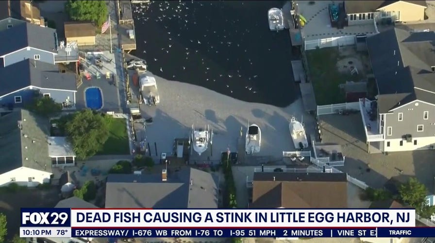 Dead fish causing a stink in New Jersey force residents to stay indoors