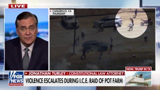Jonathan Turley warns Democratic leaders are 'fueling the rage' on immigration