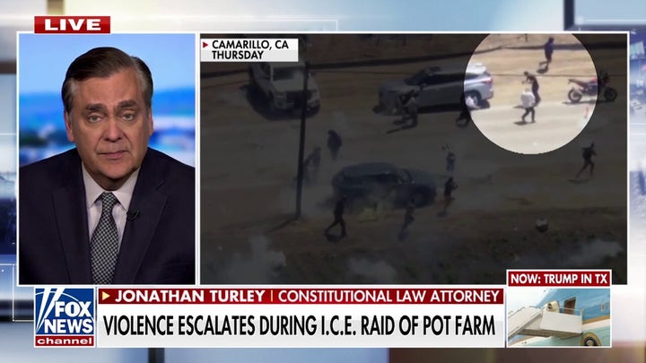 Jonathan Turley warns Democratic leaders are 'fueling the rage' on immigration