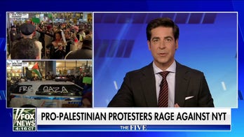 'The Five': Young protesters don’t even know what they’re protesting