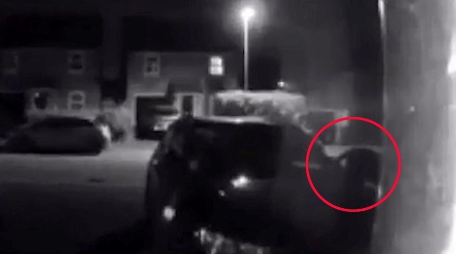 Stunned UK homeowner captures what he believes to be 'black panther' on doorbell camera