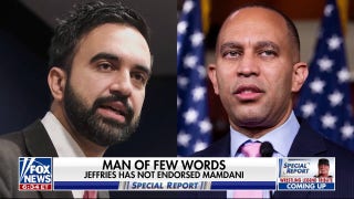 NYC mayoral candidate Zohran Mamdani facing criticism from Dems over past stances