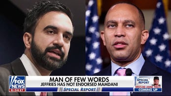NYC mayoral candidate Zohran Mamdani facing criticism from Dems over past stances