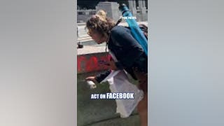 WWII Memorial vandal hit with FELONY charges