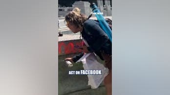 WWII Memorial vandal hit with FELONY charges