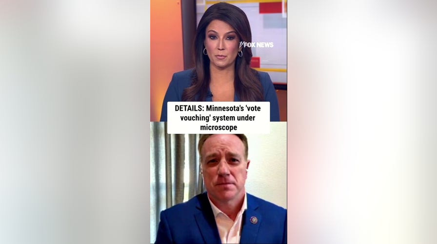 DETAILS: Minnesota's 'vote vouching' system under microscope