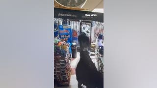 Looters STORM family-owned market during California street takeover