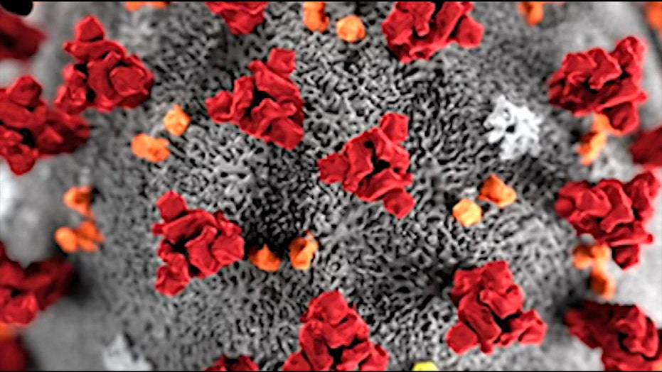 Coronavirus Live Updates Get The Latest Developments Here Fox News