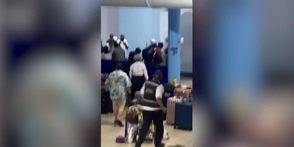 Cruise line bans 24 people after massive brawl breaks out