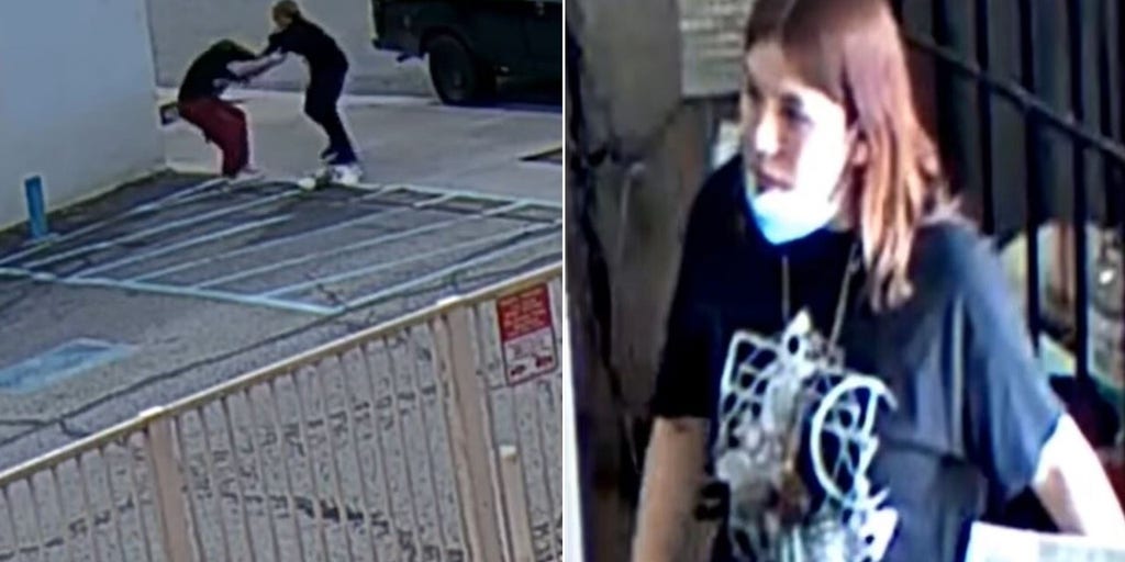 California woman wanted after stealing victim's puppy during violent assault in broad daylight, police say