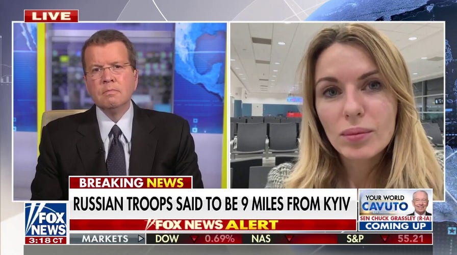 Ukraine will not 'give up' on NATO: Ukrainian MP