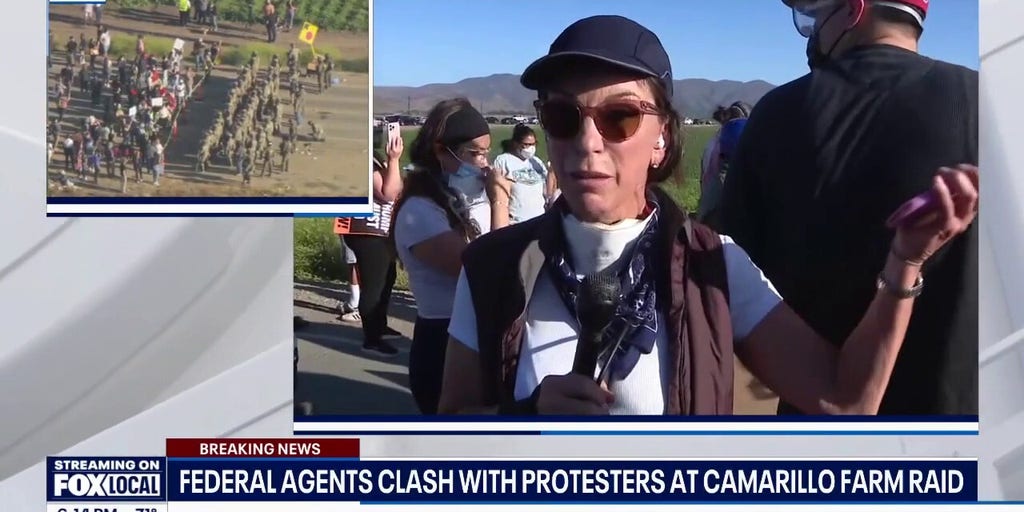 Federal agents clash with protesters at Camarillo farm raid