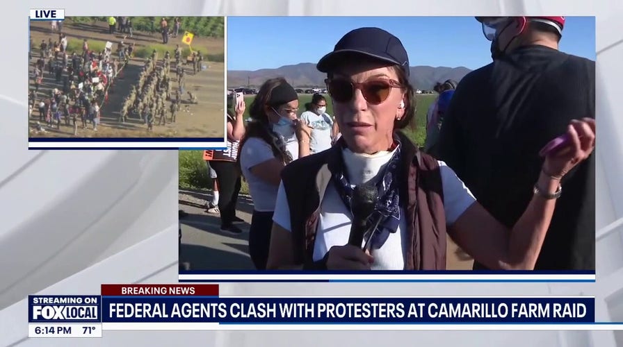 Federal agents clash with protesters at Camarillo farm raid
