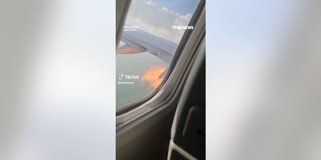 Flames SHOOT from plane engine in MIDAIR after bird collision