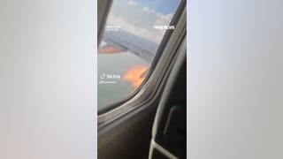 Flames SHOOT from plane engine in MIDAIR after bird collision