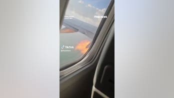 Flames SHOOT from plane engine in MIDAIR after bird collision