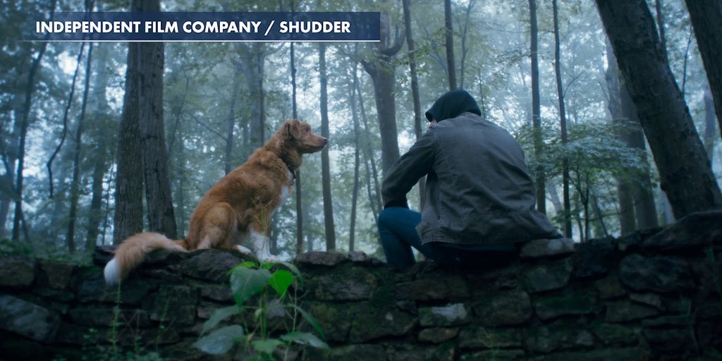 Horror-thriller 'Good Boy' preview with Indy the dog and director