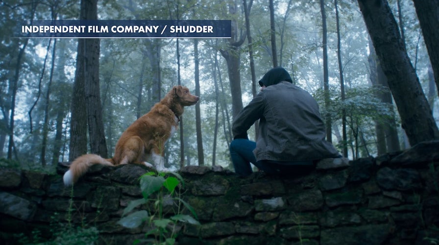 Horror-thriller 'Good Boy' preview with Indy the dog and director