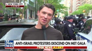 Anti-Israel protesters descend upon Met Gala - Fox News