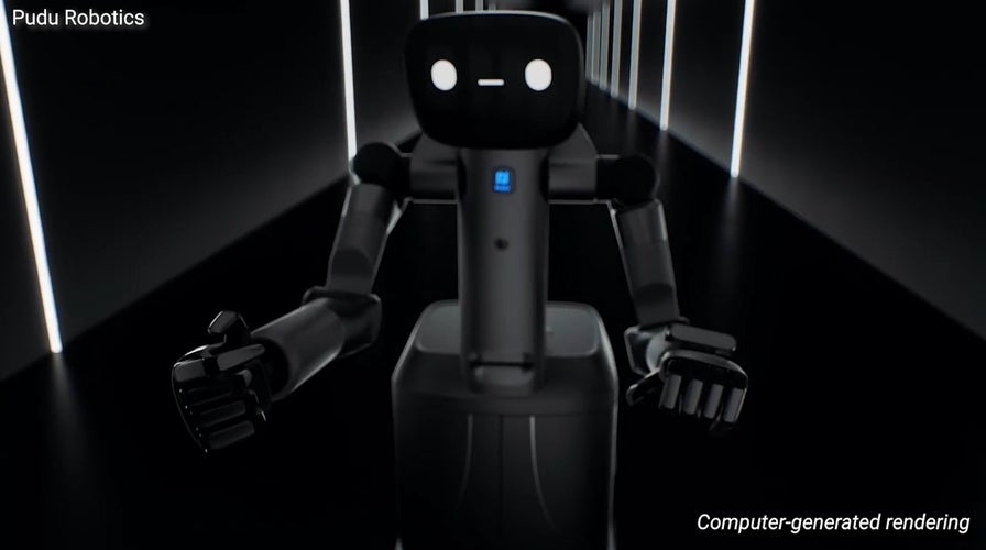Is this robot after your hospitality, retail and healthcare jobs