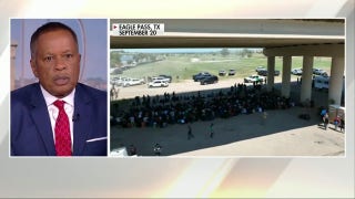 Border crisis is a bad look for Congress, US government: Juan Williams - Fox News