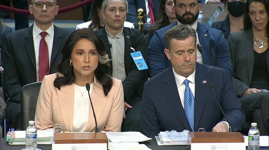 Dem senator calls for Waltz, Hegseth to resign over Signal leak