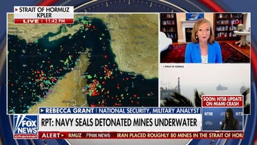 Navy SEALs detonated Iranian mines in Strait of Hormuz: Report
