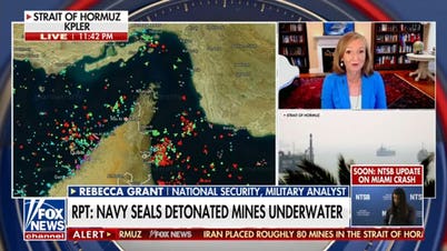 Navy SEALs detonated Iranian mines in Strait of Hormuz: Report