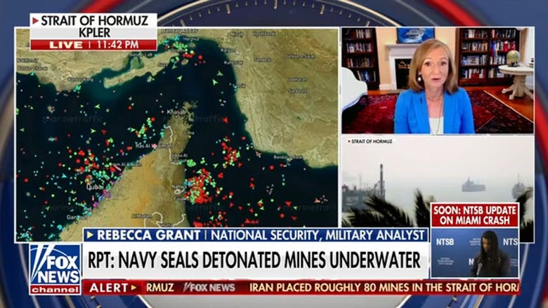 Navy SEALs detonated Iranian mines in Strait of Hormuz: Report