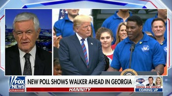 Newt Gingrich: Raphael Warnock is closely aligned with President Biden