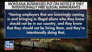 Montana businesses warned against intentionally hiring illegal immigrants: 'Needs to be stiff penalties'